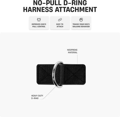 Dog Friendly Co. Harness + No-Pull D-Ring + Bungee Leash