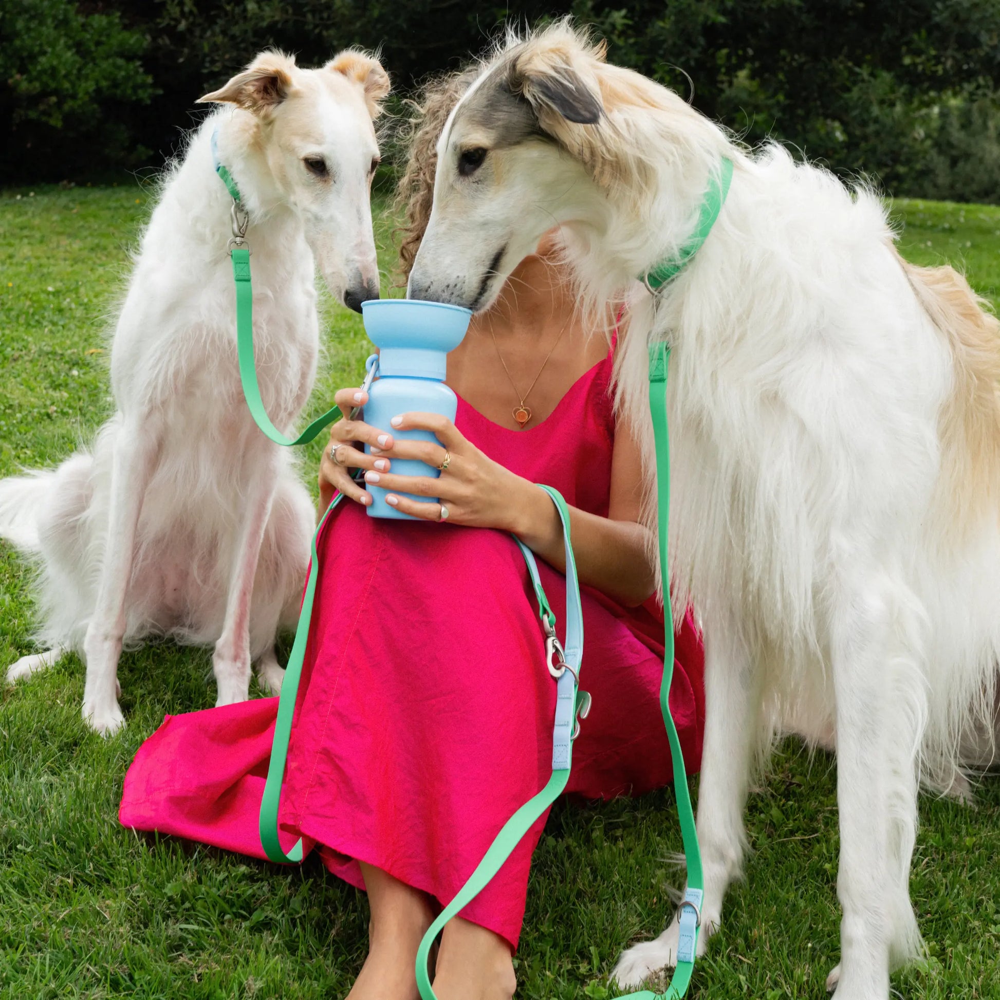 20Oz Flip Dog Travel Water Bottle