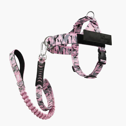 Dog Friendly Co. Harness + No-Pull D-Ring + Bungee Leash