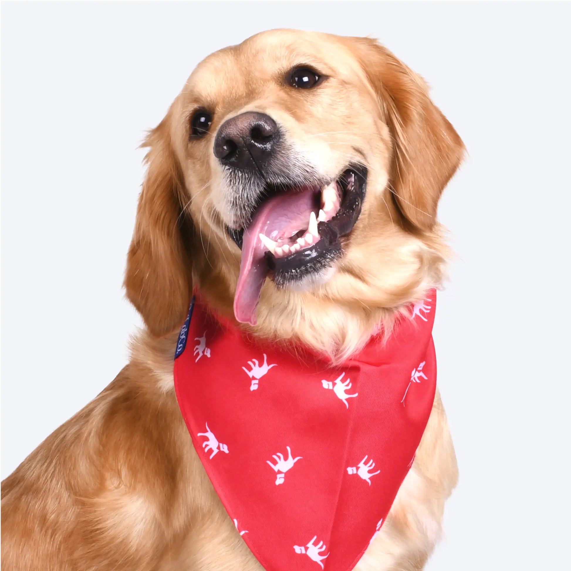 Petlab Co Dog Bandana – Stylish Pet Scarf | Soft, Comfortable & Washable Dog Accessory