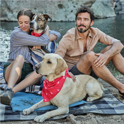 Petlab Co Dog Bandana – Stylish Pet Scarf | Soft, Comfortable & Washable Dog Accessory