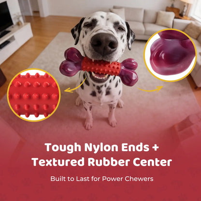 Apasiri Tough Dog Toys for Aggressive Chewers Beef Flavor: 8" Dog Chew Bone for Large Breed, Nylon & Rubber Chew Toy for Medium Large Dogs Outdoorfun