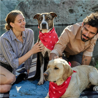 Petlab Co Dog Bandana – Stylish Pet Scarf | Soft, Comfortable & Washable Dog Accessory
