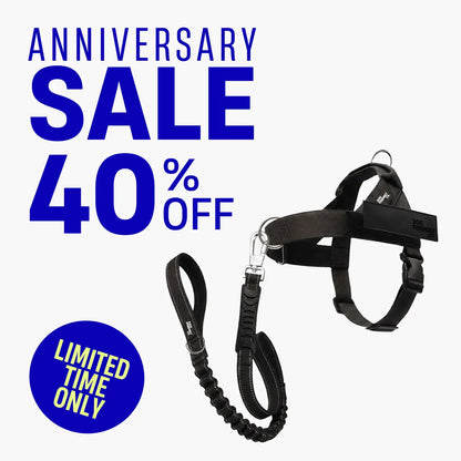 Dog Friendly Co. Harness + No-Pull D-Ring + Bungee Leash